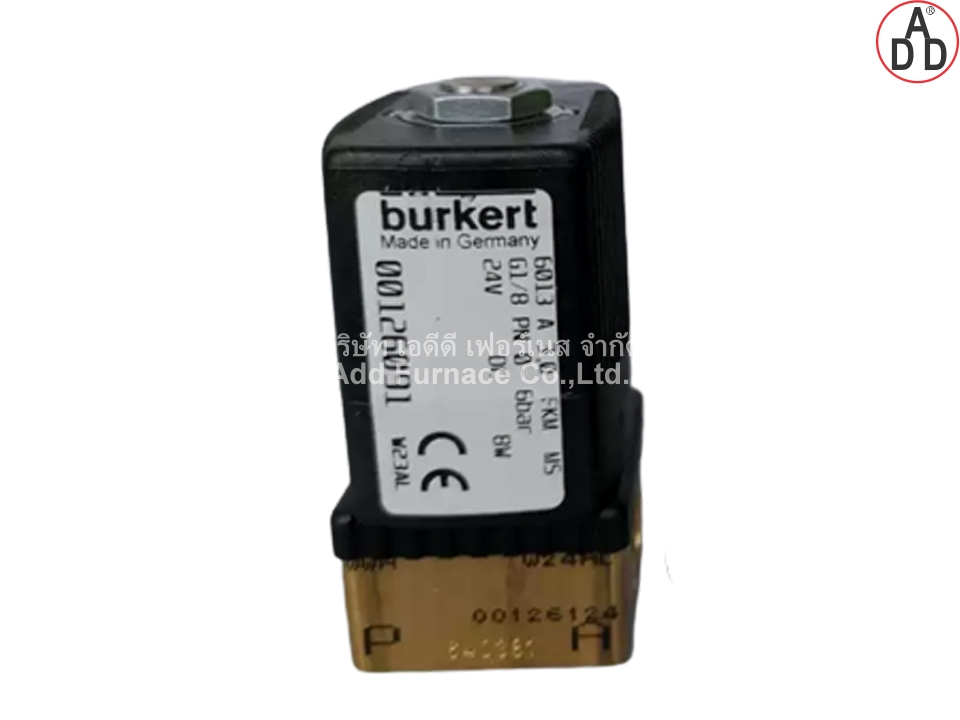 Burkert 6013 A 3,0 FKM MS (G1/8) (4)